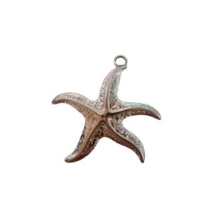 Charm Estrella de mar silver
