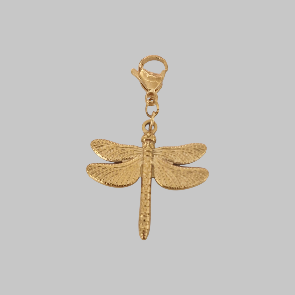 Charm Orya